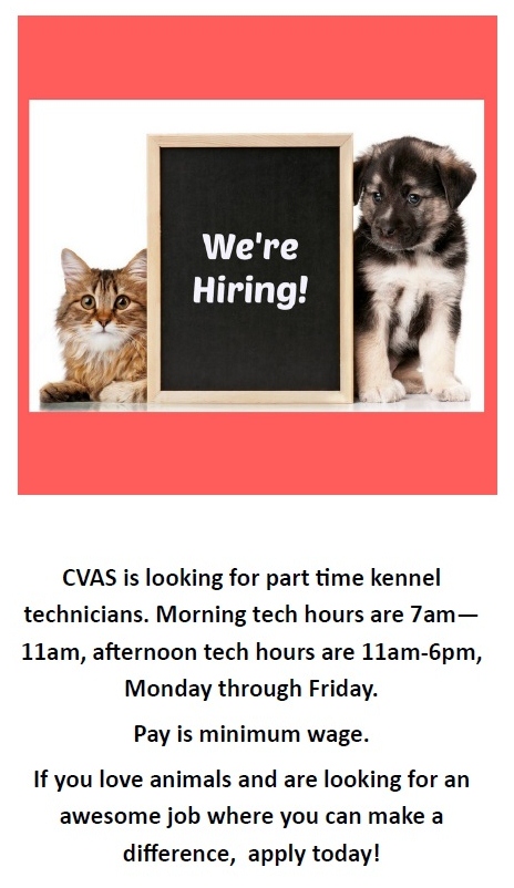 pet places hiring